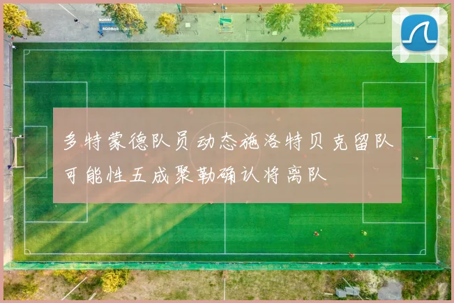 多特蒙德队员动态施洛特贝克留队可能性五成聚勒确认将离队