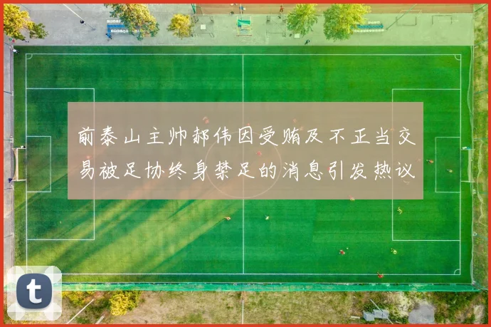 前泰山主帅郝伟因受贿及不正当交易被足协终身禁足的消息引发热议